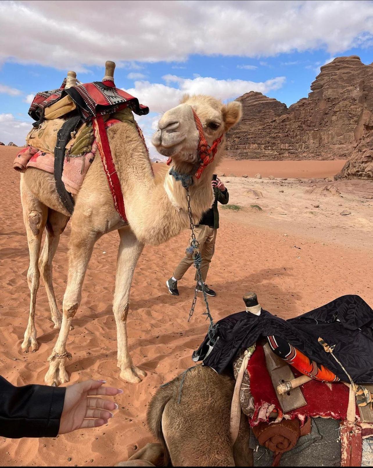 Wadi Rum Desert Camp Ad Disah Exterior photo